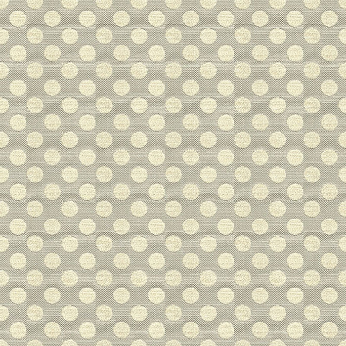Kravet Design Posie Dot Sterling Fabric Sample 34070.1611.0