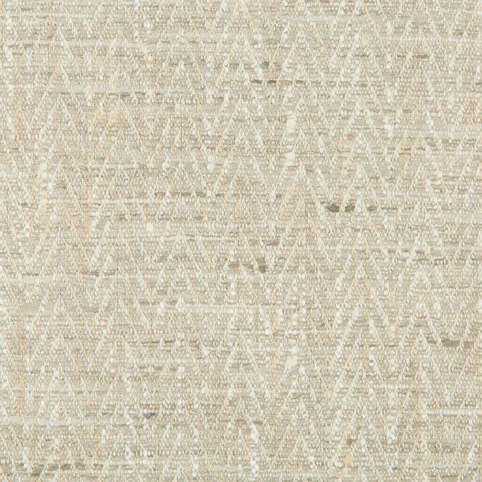 Kravet Smart 34092 11 Fabric Sample 34092.11.0