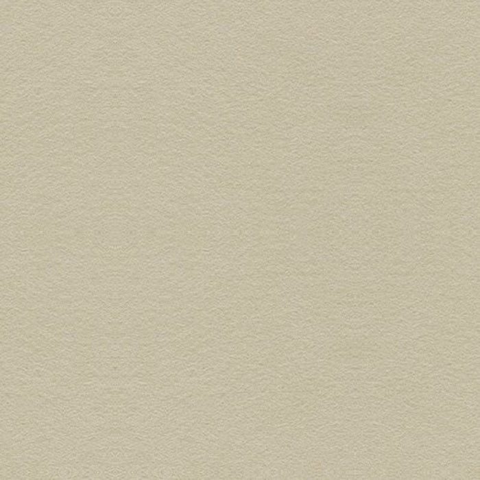 Kravet Couture Suede Texture Gris Fabric Sample 34121.111.0