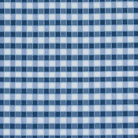 Schumacher Ingrid Silk Check Blue Fabric 3453004