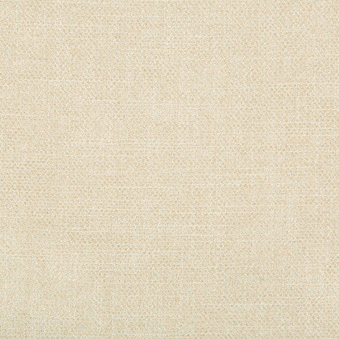 Kravet Smart 35060 1116 Fabric Sample 35060.1116.0
