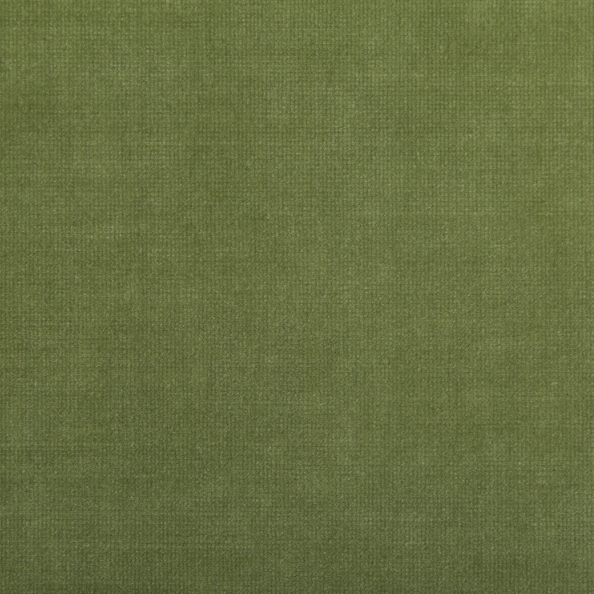 Kravet Smart Chessford Leaf Fabric Sample 35360.333.0