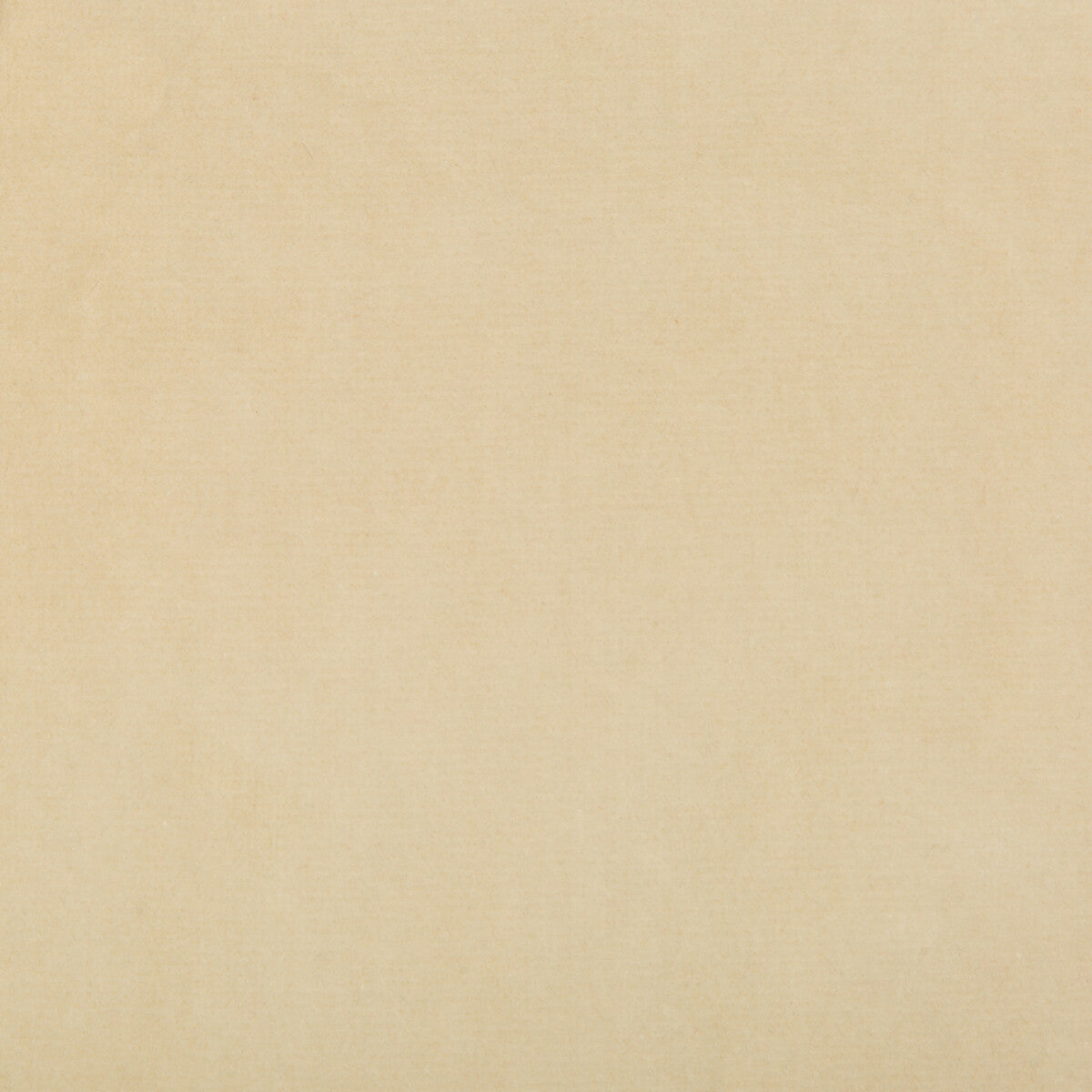 Kravet Design 35366.1116.0 Fabric Sample