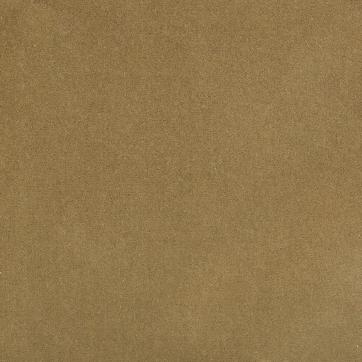 Kravet Design 35366.1611.0 Fabric Sample