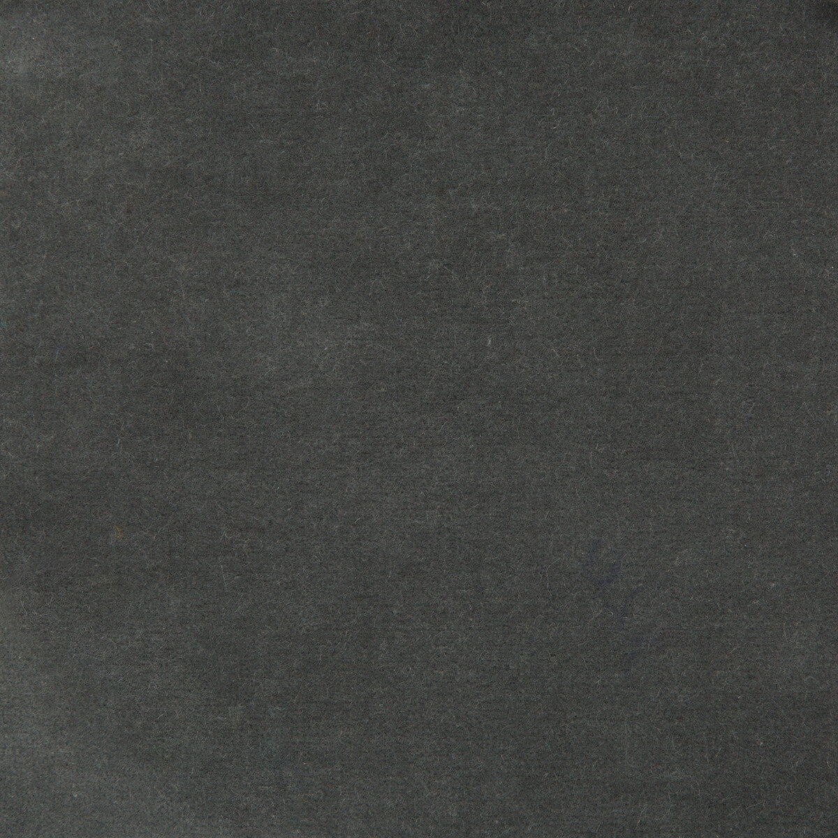 Kravet Design 35366.2101.0 Fabric Sample