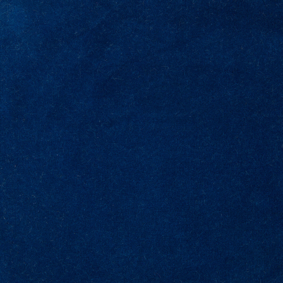 Kravet Design 35366.50.0 Fabric Sample
