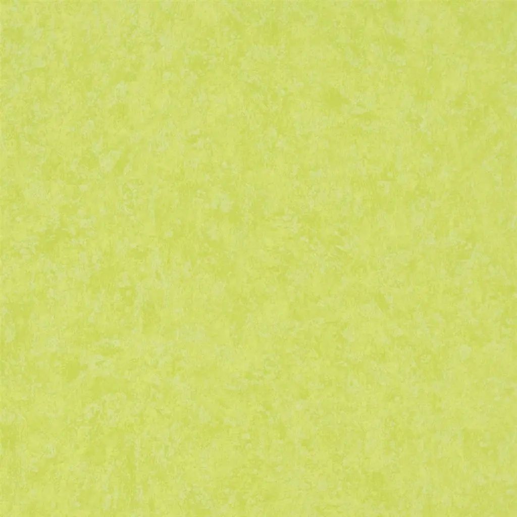 Designers Guild Mayura 14 Sample Sample P575-14