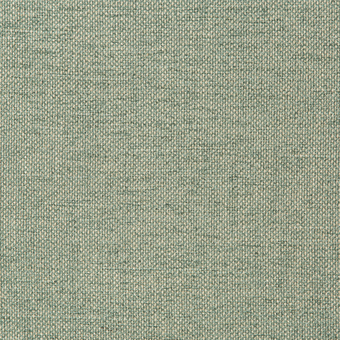 Kravet Smart 35989 13 Fabric Sample 35989.13.0