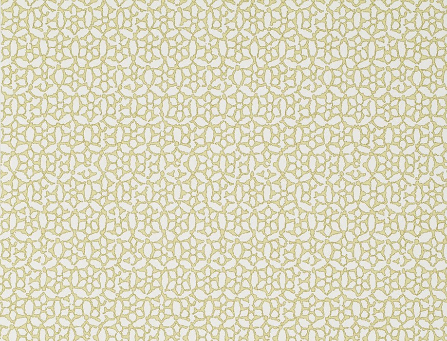 No.9 Thompson Chinese Daisy  Beechnut Wallpaper Sample N9021004004