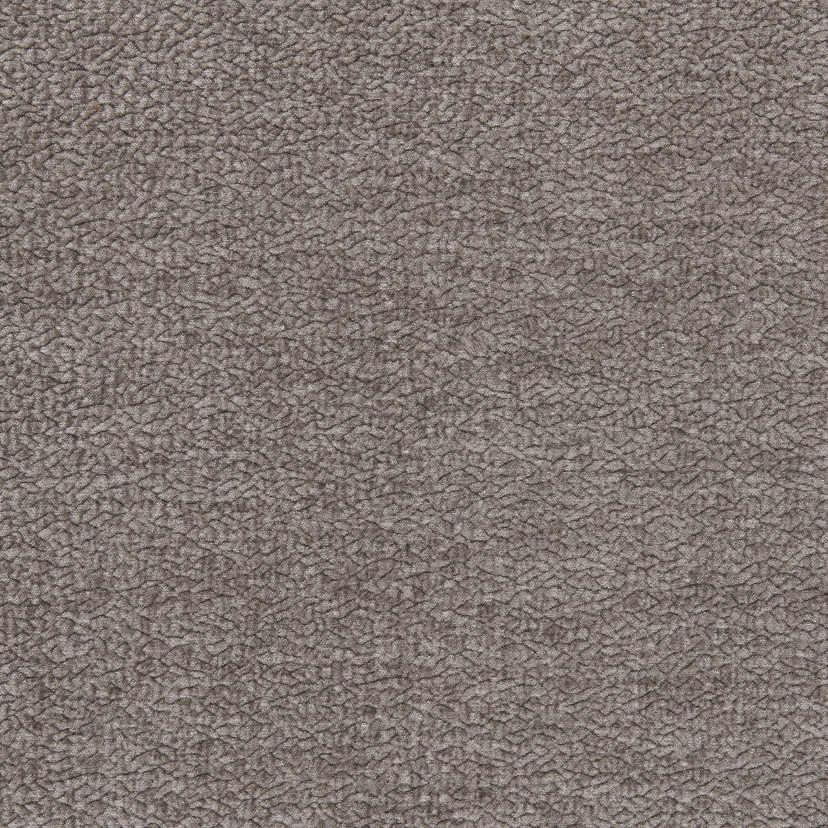 Kravet Smart Barton Chenille Platinum Fabric 36074.2111.0