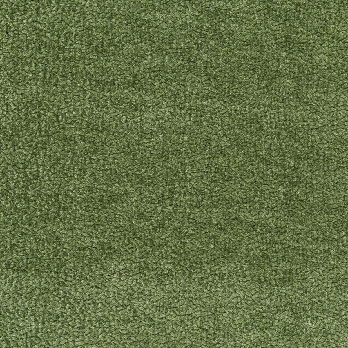 Kravet Smart Barton Chenille Shamrock Fabric Sample 36074.23.0