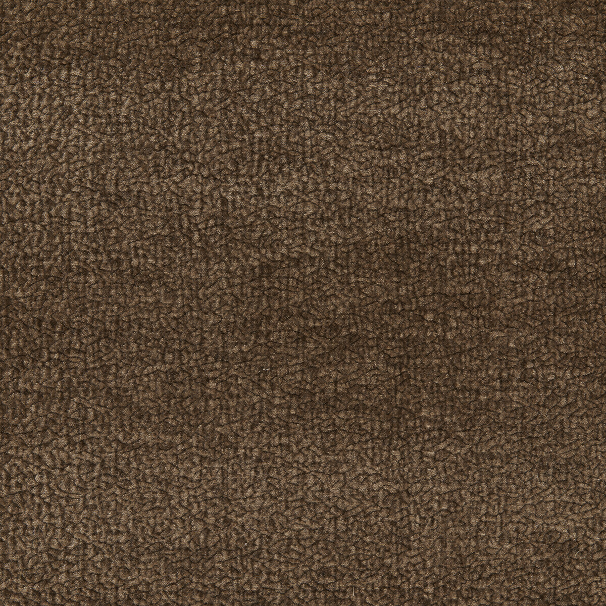 Kravet Smart Barton Chenille Mocha Fabric 36074.6666.0
