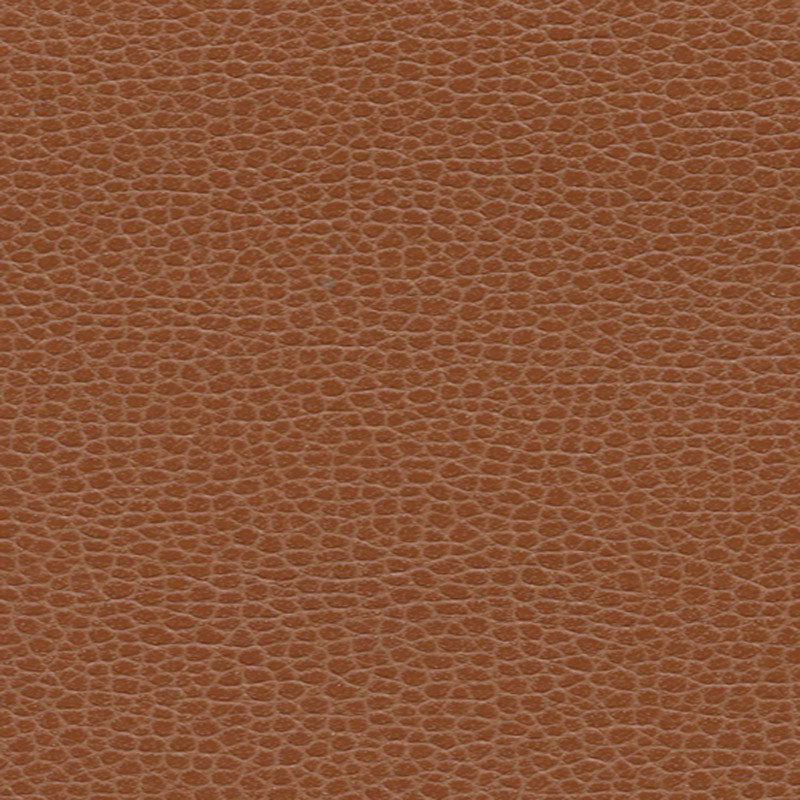 Schumacher Promessa Leather Fabric 363-3144