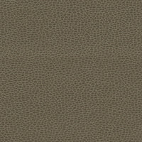 Schumacher Promessa Woodpecker Fabric 363-3462
