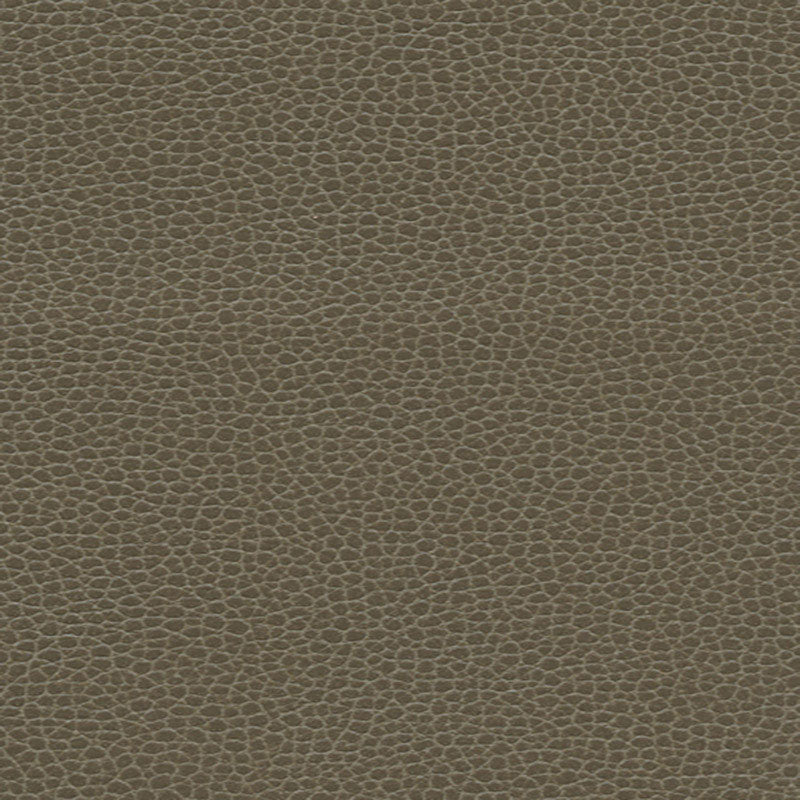Schumacher Promessa Woodpecker Fabric Sample 363-3462