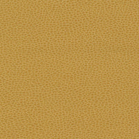 Schumacher Promessa Sunshower Fabric 363-5258