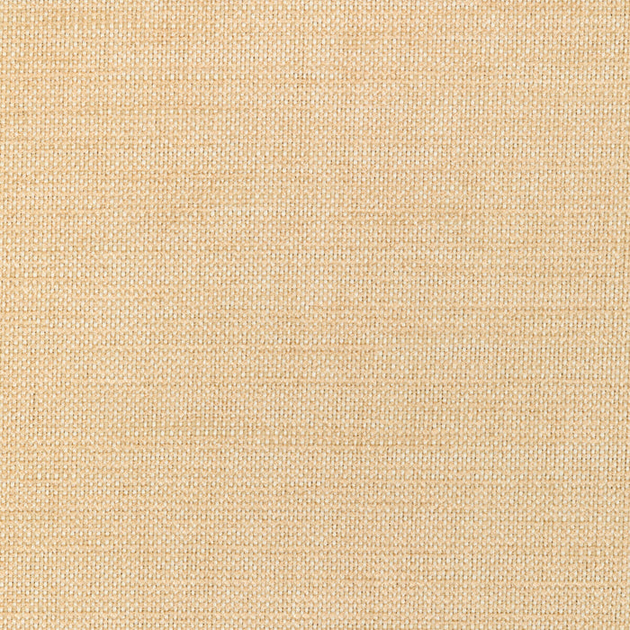 Kravet Smart 36302 116 Fabric Sample 36302.116.0