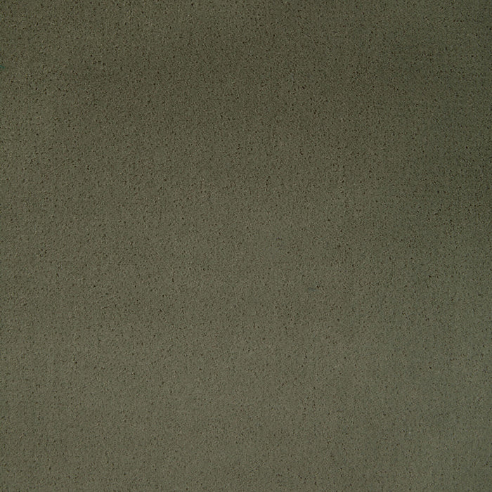 Kravet Contract Fomo Fennel Fabric Sample 36543.130.0