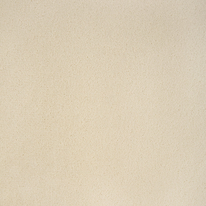 Kravet Contract Fomo Coconut Fabric Sample 36543.1.0