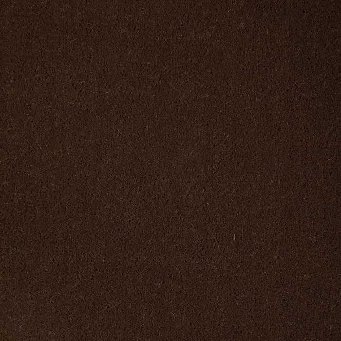 Kravet Contract Fomo Cub Fabric Sample 36543.66.0