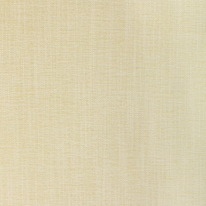 Kravet Smart 36650 1111 Fabric Sample 36650.1111.0