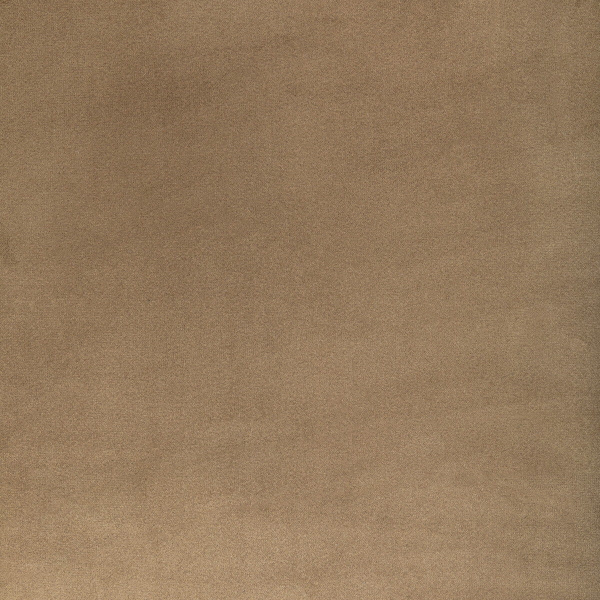 Kravet Contract Rocco Velvet Dune Fabric Sample 36652.616.0