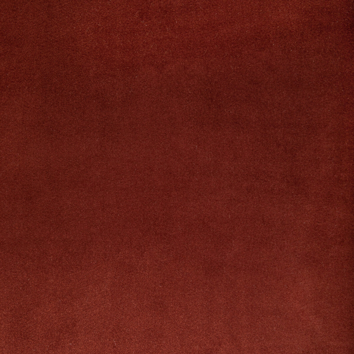 Kravet Contract Rocco Velvet Clay Fabric Sample 36652.624.0