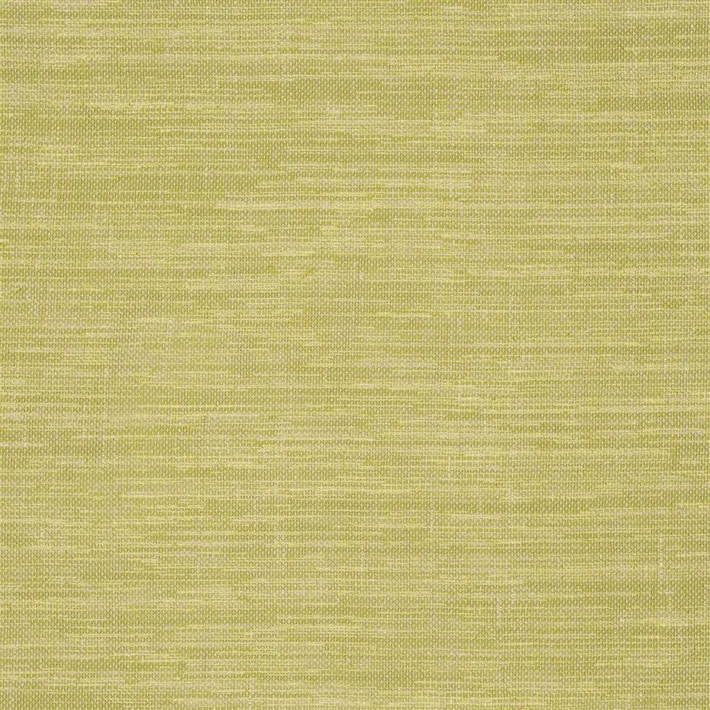 Designers Guild Cosia 8 Sample Sample FDG2267-08
