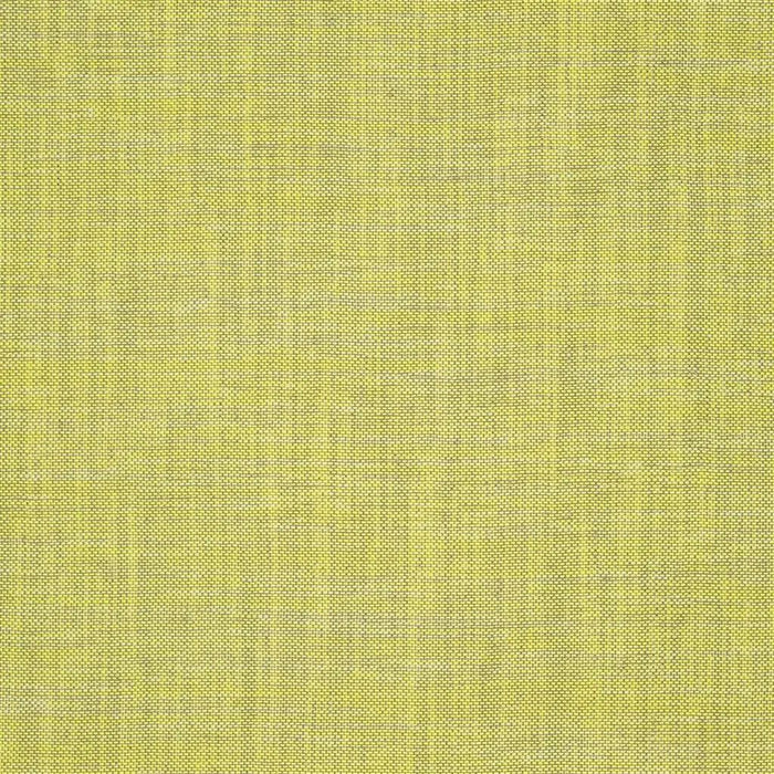 Designers Guild Cosia 10 Sample Sample FDG2267-10