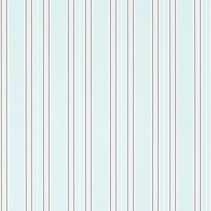 Designers Guild Pinstripe 6 Sample Sample P586-06