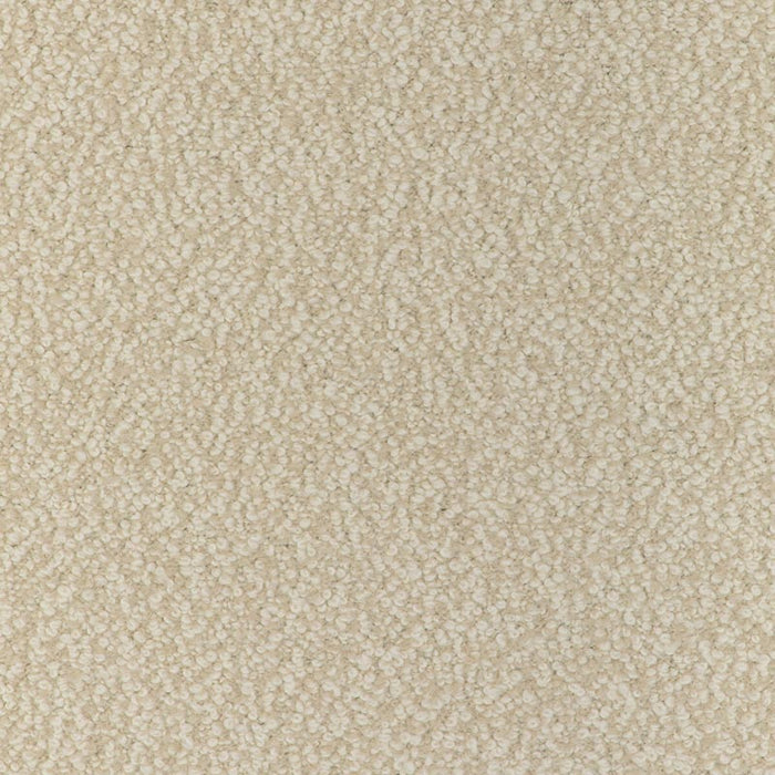 Kravet Couture Alpaca Boucle Oyster Fabric Sample 36898.116.0