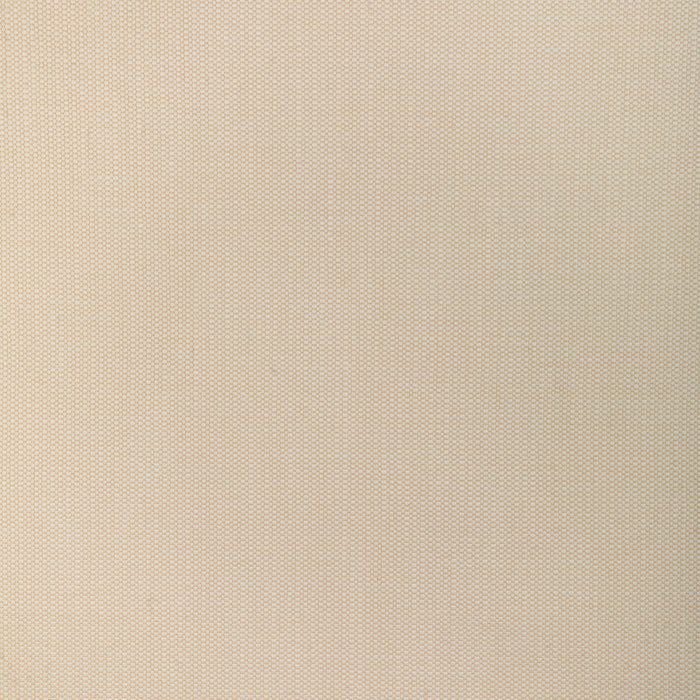 Kravet Smart 37337.161.0 Fabric
