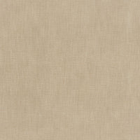 Kravet Smart Vero Parchment Fabric 37360.1616.0