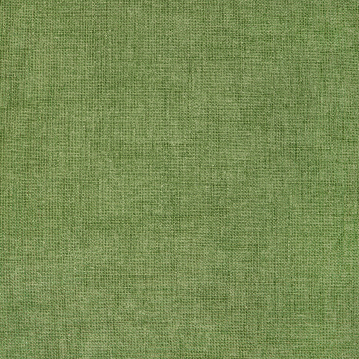 Kravet Smart Jesse Grass Fabric 37394.3.0