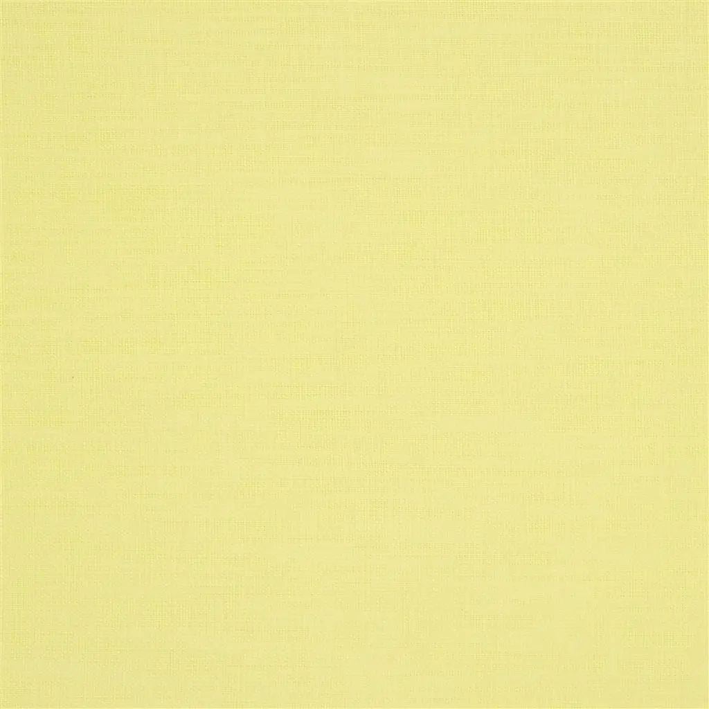 Designers Guild Orba 30 Sample Sample FDG2268-30