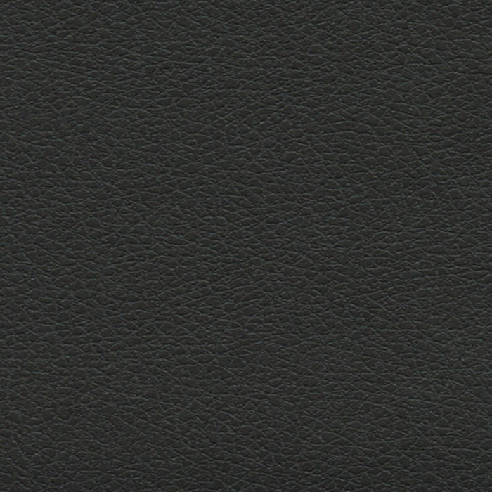 Schumacher Brisa Soleil Indoor/Outdoor Black Onyx Fabric Sample 393-5749