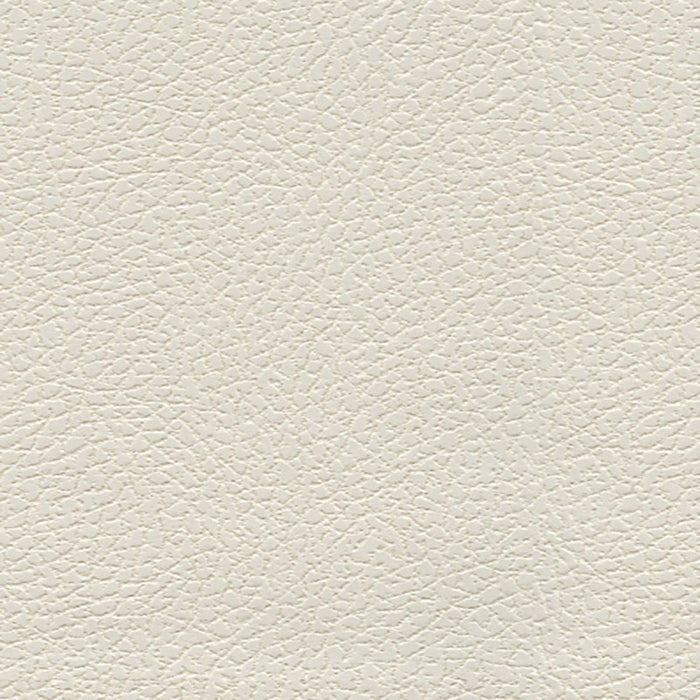 Schumacher Brisa Soleil Indoor/Outdoor Jasper Fabric Sample 393-5852