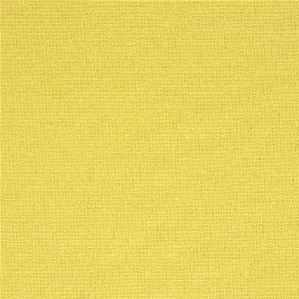 Designers Guild Manzoni 76 Sample Sample FDG2255-76
