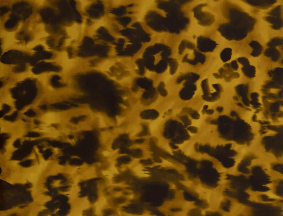 Jim Thompson Wildcat  Gold Wallpaper Sample JT021070002