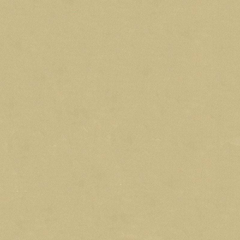 Kravet Design 4070 16 Fabric Sample 4070.16.0