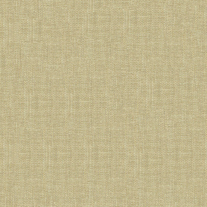 Kravet Basics 4118 1116 Fabric Sample 4118.1116.0