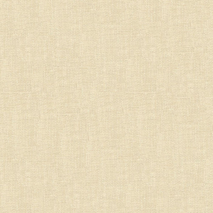Kravet Basics 4118 1 Fabric Sample 4118.1.0