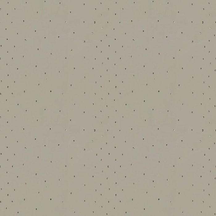 Kravet Design Sunstone Haze Fabric Sample 4191.21.0