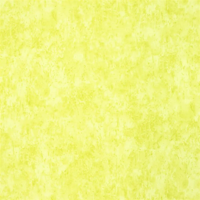 Designers Guild Ellora Lime Fabric Sample F1794-10