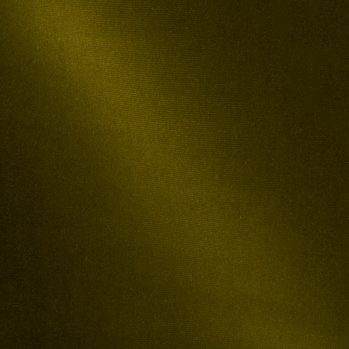 Schumacher Gainsborough Velvet Moss Fabric Sample 42863