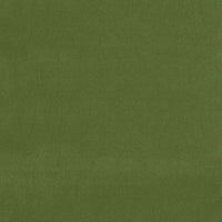 Schumacher Gainsborough Velvet Fern Fabric 42869