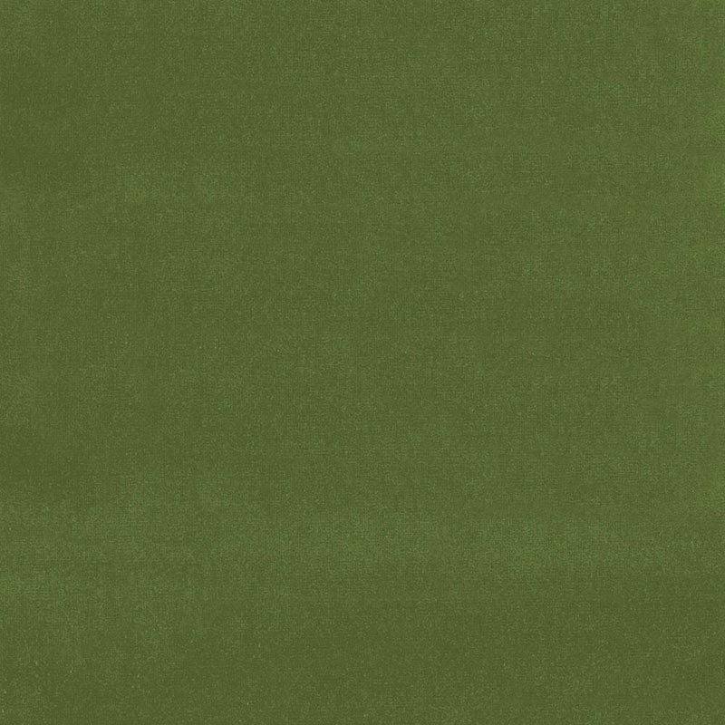 Schumacher Gainsborough Velvet Fern Fabric 42869