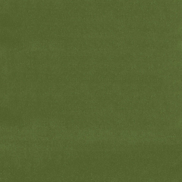 Schumacher Gainsborough Velvet Fern Fabric Sample 42869