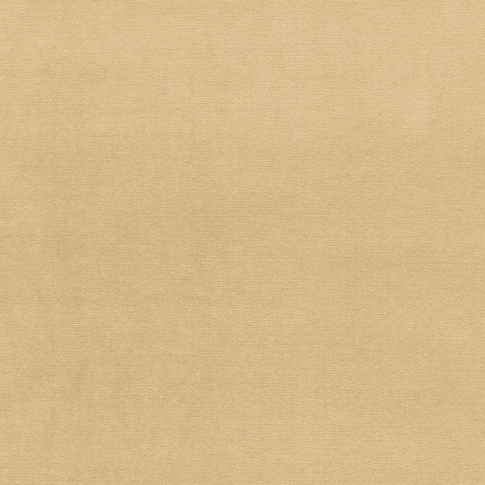 Schumacher Gainsborough Velvet Ecru Fabric Sample 43248