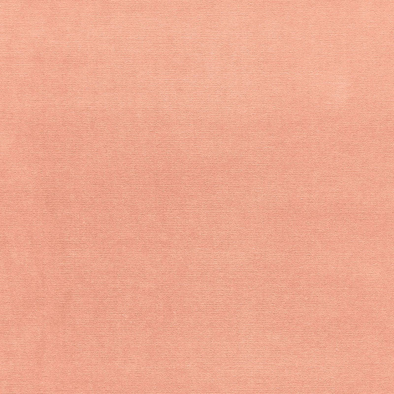 Schumacher Gainsborough Velvet Shell Fabric Sample 43250
